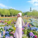上海旅游 缩略图 3