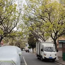 青岛旅游 缩略图 3
