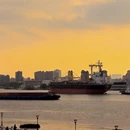 上海旅游 缩略图 8