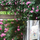 南京旅游 缩略图 5