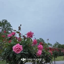武汉旅游 缩略图 3