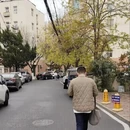 青岛旅游 缩略图 2
