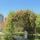 西安旅游 缩略图 3