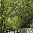 南京旅游 缩略图 14