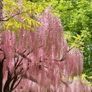 北京旅游 缩略图 8