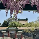 北京旅游 缩略图 3
