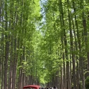 上海旅游 缩略图 11