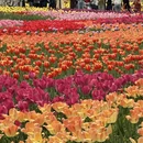北京旅游 缩略图 8
