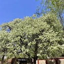 沈阳旅游 缩略图 3