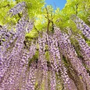 北京旅游 缩略图 2