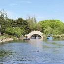 上海旅游 缩略图 14