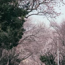 长春旅游 缩略图 1