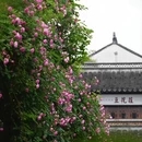 南京旅游 缩略图 14