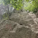 南京旅游 缩略图 10