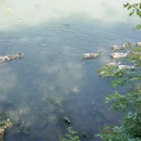 苏州旅游 缩略图 6