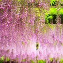 北京旅游 缩略图 6
