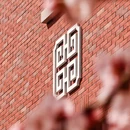 长春旅游 缩略图 13
