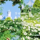 昆明旅游 缩略图 1