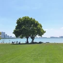 苏州旅游 缩略图 9
