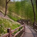 洛阳旅游 缩略图 4