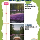 泰州旅游 缩略图 1