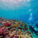 三亚旅游 缩略图 7