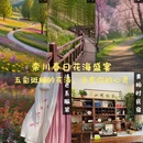 洛阳旅游 缩略图 1