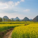 襄阳旅游 缩略图 7