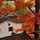池州旅游 缩略图 5