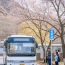 济南旅游 缩略图 6