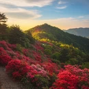 舟山旅游 缩略图 4