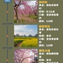 襄阳旅游 缩略图 2