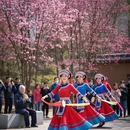 绵阳旅游 缩略图 3