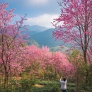 绵阳旅游 缩略图 5