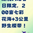 黄石旅游 缩略图 1