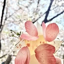 南京旅游 缩略图 4