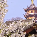 南京旅游 缩略图 5