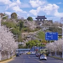 南京旅游 缩略图 6
