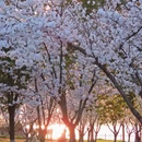 南京旅游 缩略图 7
