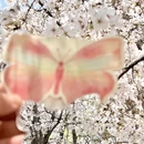 南京旅游 缩略图 9