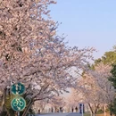 南京旅游 缩略图 9