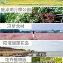 苏州旅游 缩略图 7