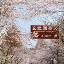 南京旅游 缩略图 1