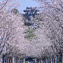 南京旅游 缩略图 1