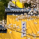 南京旅游 缩略图 3