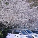 南京旅游 缩略图 2