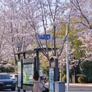 南京旅游 缩略图 3