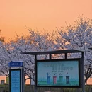 南京旅游 缩略图 12