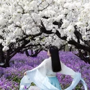 宿迁旅游 缩略图 4