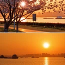 南京旅游 缩略图 13